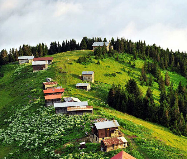 Rize’nin Doğal Güzelliklerini Keşfedin